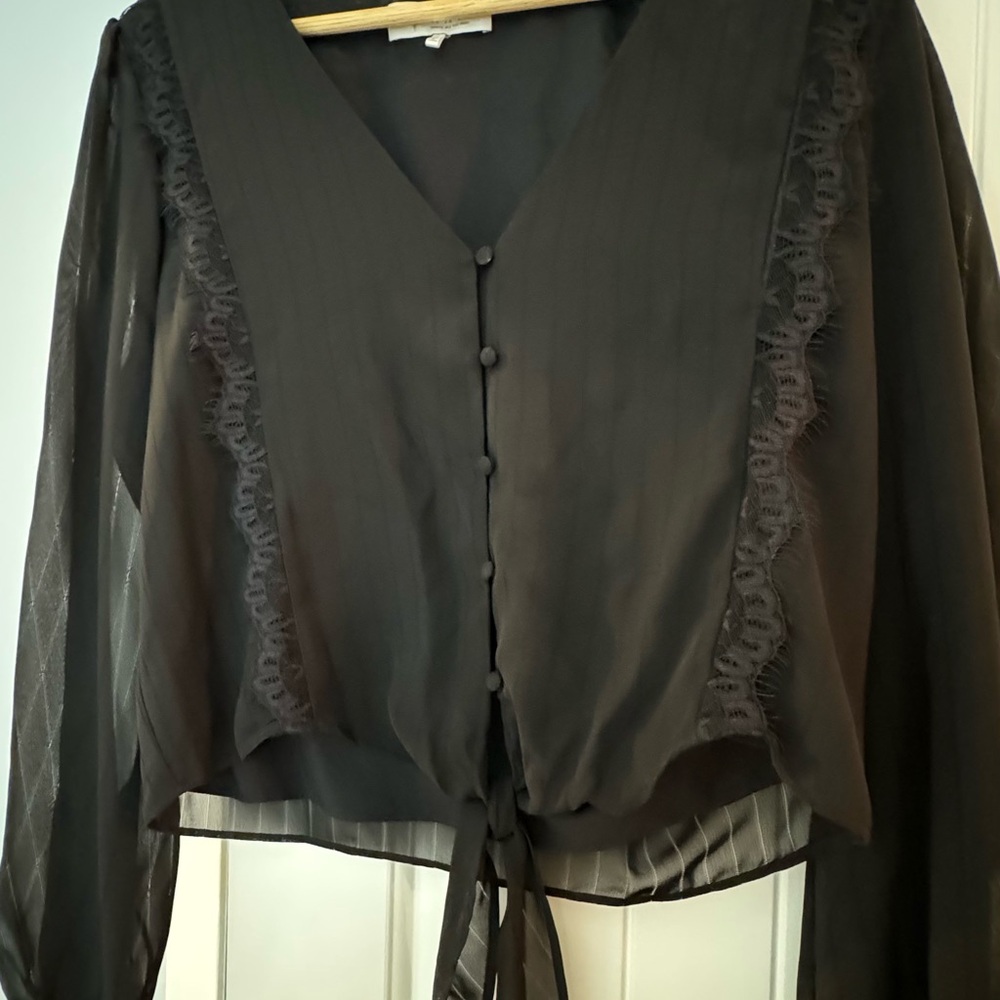 Wayf Black Sheer Button-Up Blouse